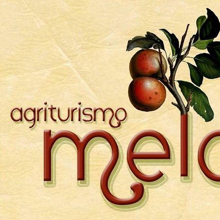 Agriturismo Il Melo Valfabbrica Eksteriør billede