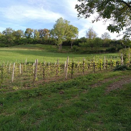 Agriturismo Il Melo Valfabbrica Eksteriør billede