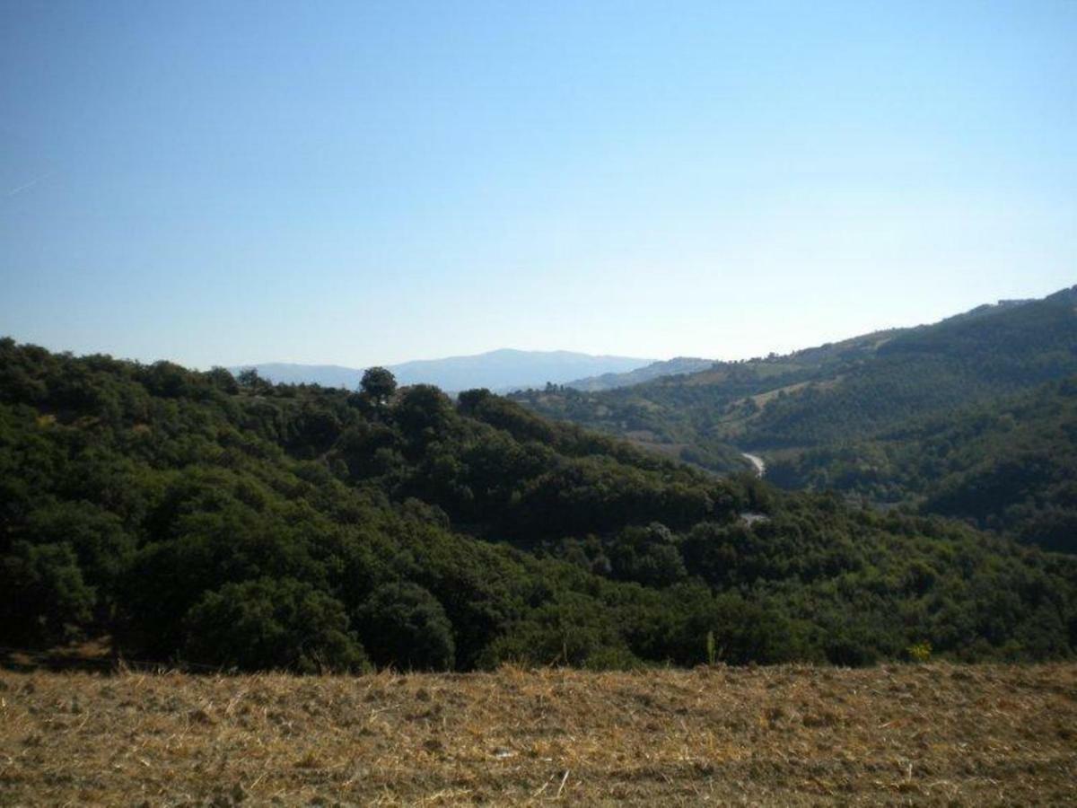 Agriturismo Il Melo Valfabbrica Eksteriør billede