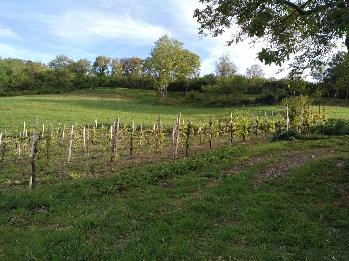 Agriturismo Il Melo Valfabbrica Eksteriør billede
